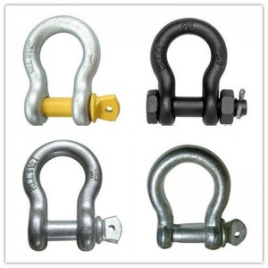 Grillo professionale Anchor D Shackle
